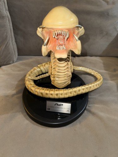 Master replicas alien - replicas,