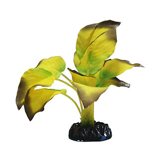 Betta choice 20cm silk - betta,
