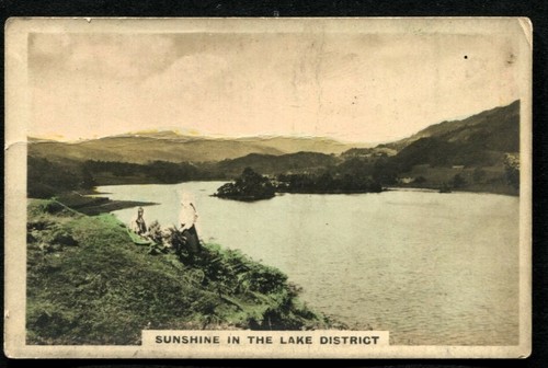 Tobacco card cavanders - tobacco,