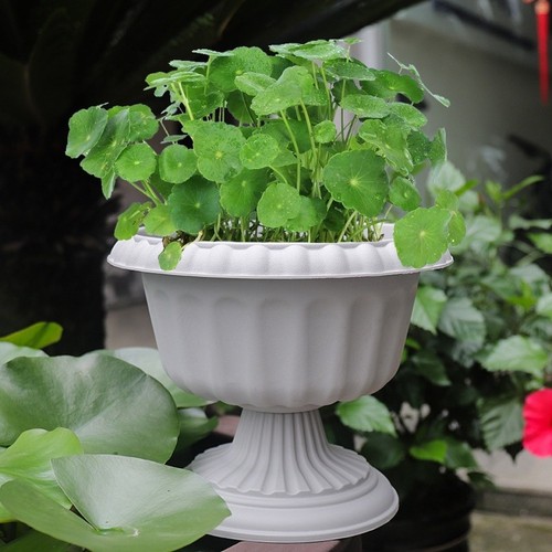 Urn plant pot - pot, inch