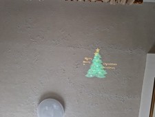 Flashing Outside Christmas Projector