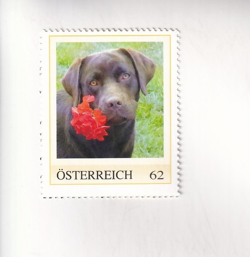Stamp austria the - pm, dog