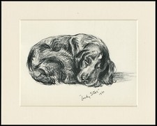 COCKER SPANIEL OLD 1937 DOG ART SKETCH PRINT LUCY DAWSON AKA MAC READY MOUNTED