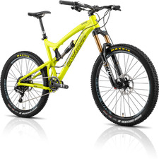 Frame Pivot Bearing Kit |