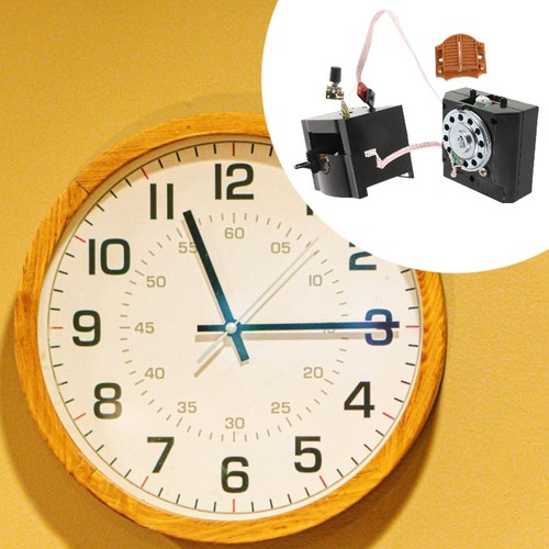 Cuckoo wall clock movement - cuckoo,