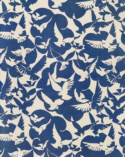 Pigeons white and - pigeons,