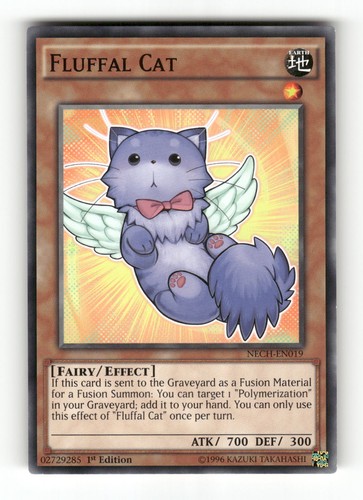 Fluffal cat nech en019 - cat, common