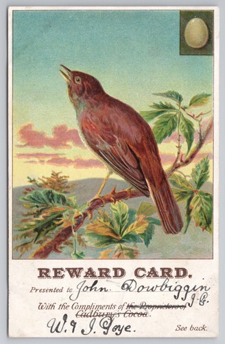 Cadburys cocoa reward card - cadburys,
