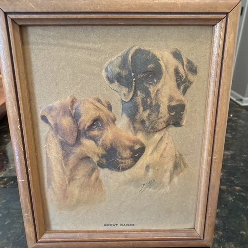 Mabel gear framed great dane - mabel,