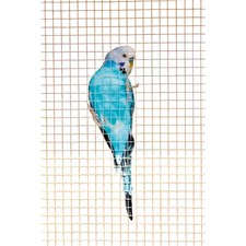 Ambassador Cage & Aviary