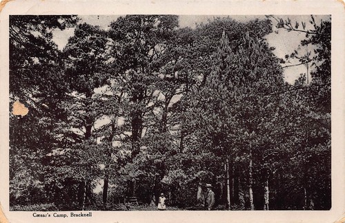 Bracknell berkshire caesar - berkshire, caesar's