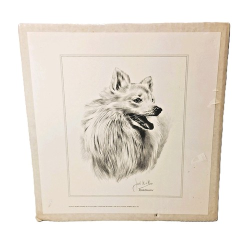 Vintage pomeranian dog art - pomeranian,