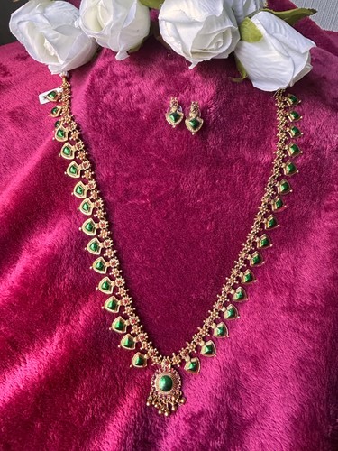 Indian traditional stunning - indian,