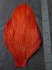 Inferno Orange Chinese Cock