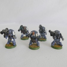 Space Wolves Long Fangs 2nd edition, metal