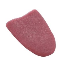 Halloween Fake Tongue Plastic