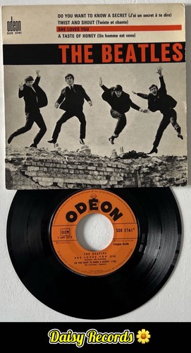 The beatles she loves you - loves,