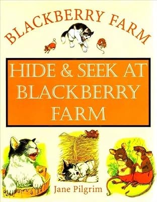 Hide and seek blackberry - seek, at
