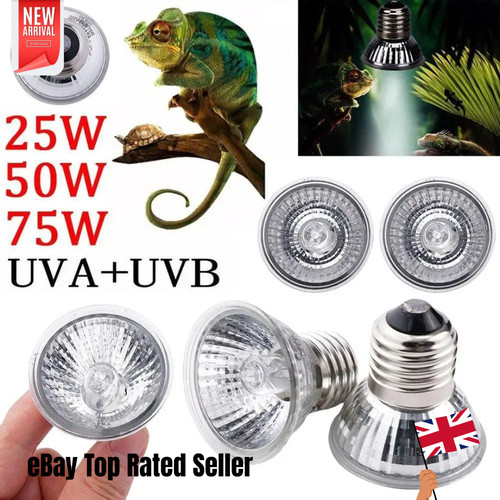 3pc reptile light bulb - 3pc,