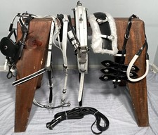 ***Leaders Worldwide Inc***