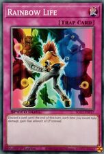 SGX1-ENF17 RAINBOW LIFE COMMON 1ST EDITION YuGiOh CARD