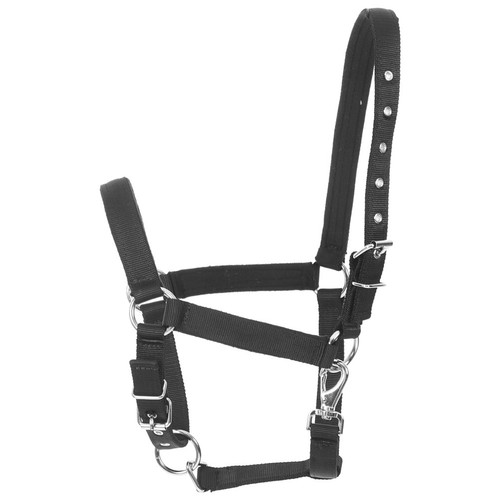 Horse control headcollar rope - control,