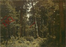 Picture Postcard> Robert Zund