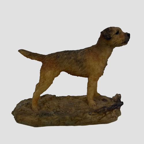 Border terrier standing dog - terrier,