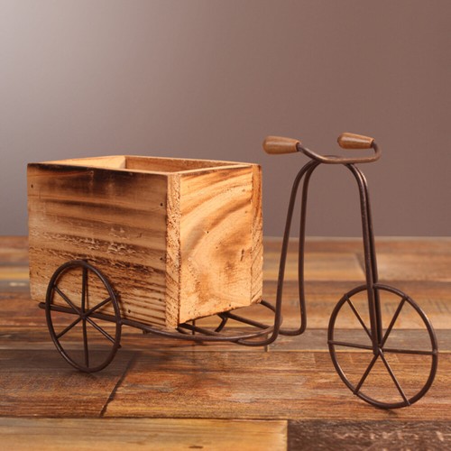 Set iron tricycle plant - set,