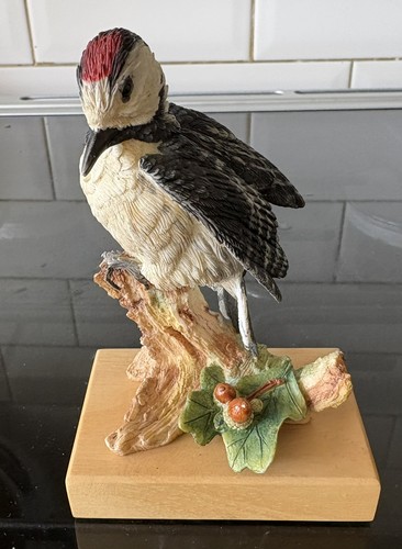 Lesser spotted woodpecker - spotted,