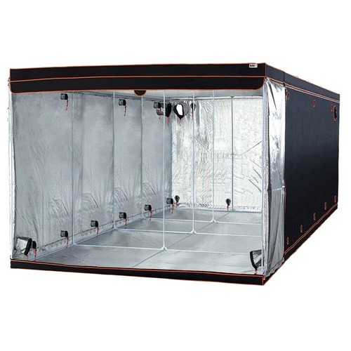 Bay6 hydroponics horticultural - bay6,