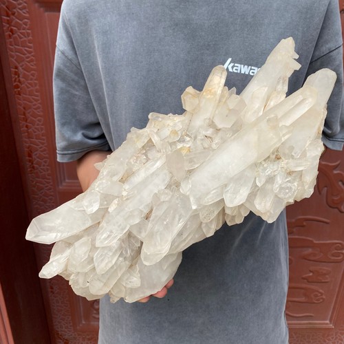 6lb new find - new, white