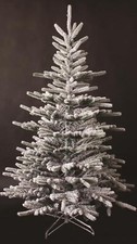 Green Christmas Tree Snow