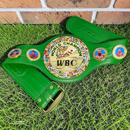 Wbc style boxing championship - style,