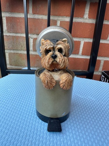 Yorkshire terrier dog - terrier, leonardo