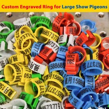 Custom Engraved Ring for Large