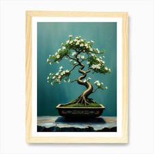 Bonsai Tree 5 Art Print Framed