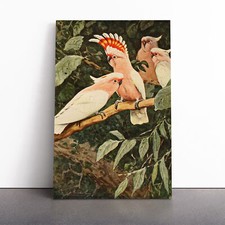 Vintage W Kuhnert Major