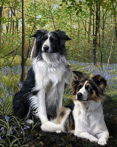 Blues twos nigel hemming - &, by