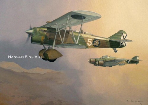 Fiat italian plane - cr.32,