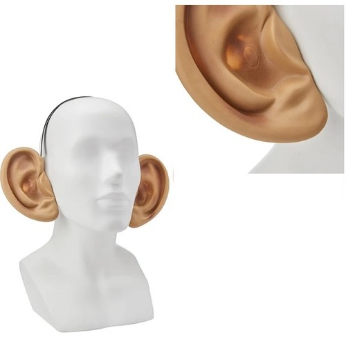 Adult child big ears - ears, friendly