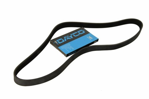 Dayco day6pk1137 ribbed belt - dayco,