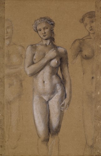 Edward burne jones female - edward, nude