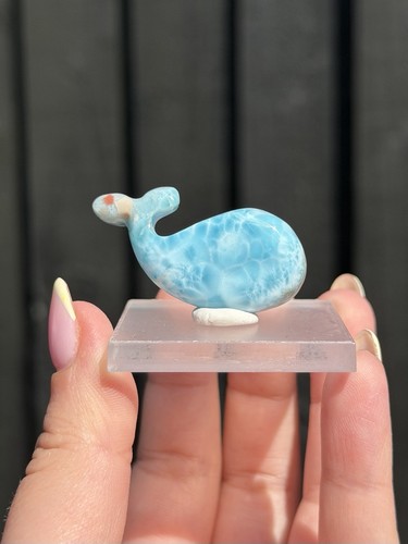 Rare larimar grade whale - rare,