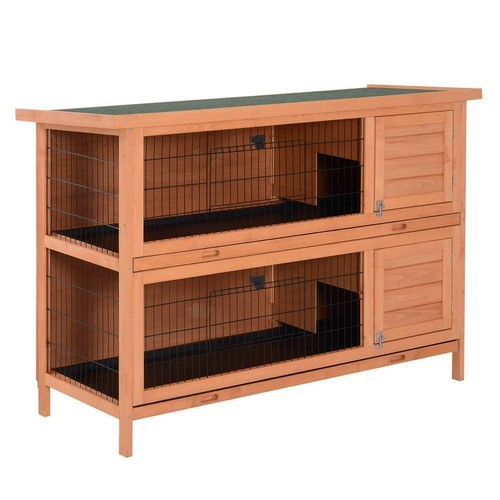 Rabbit hutch guinea - guinea, pig
