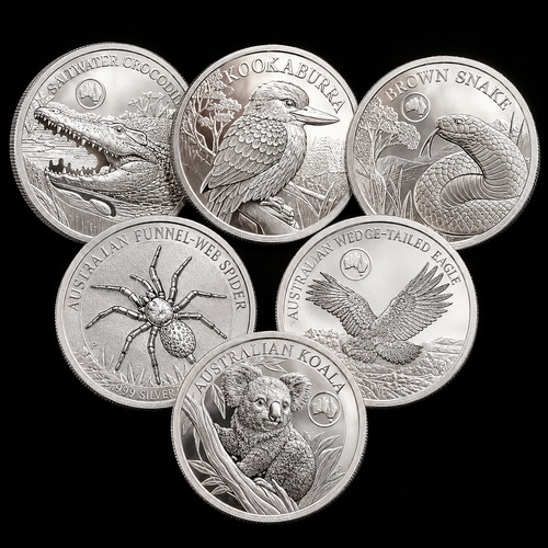 6pcs 1oz solid coin - 6pcs,