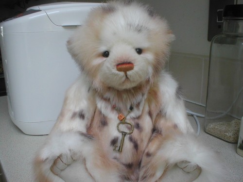Charlie bears helen plumo bear - charlie,