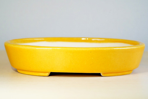 Japanese bonsai pot - bonsai,