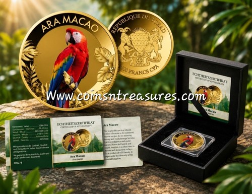 Scarlet macaw parrot bird - scarlet,