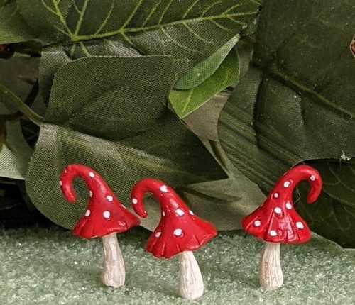 Fiddlehead fairy garden - fiddlehead,